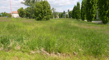 Sečení trávy se řídí klimatickými podmínkami a požadavky uživatelů