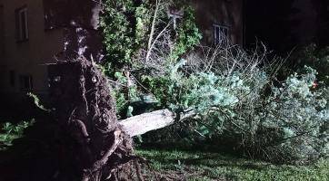 Zlínský kraj potrápily silné bouřky. Hasiči likvidovali škody až do dnešního rána