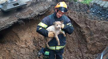Pejsek se polekal bouřky a spadl do výkopu. Záchranu i šťastné shledání s páníčkem zařídili hasiči