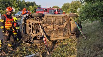 Perná neděle hasičů: dopravní nehody, požáry, obtížný hmyz i záchrana osob