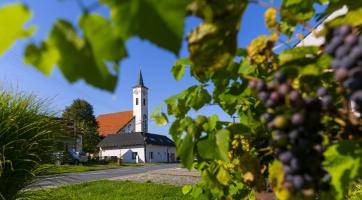 Vesnicí roku Zlínského kraje 2025 jsou Nedachlebice