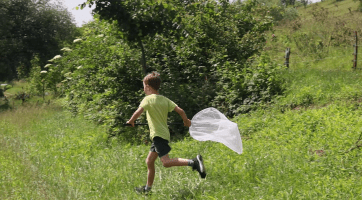 Motýlí ráj oslavil už deset let existence