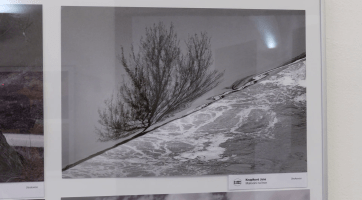 Výstava Týká se to také tebe spojuje ekologii, umění i humor