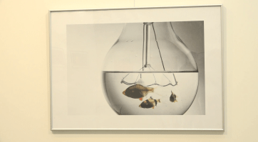 Fotograf Milan Zámečník přenesl chaos z hlavy na fotky