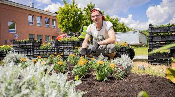 Zahradníci Baťovy nemocnice prosí návštěvníky i pacienty: Netrhejte květiny, užívejte si je