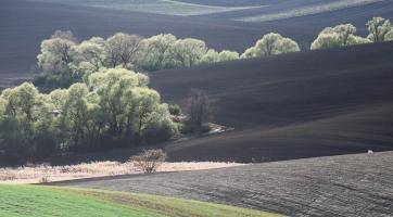 Výstava Linie krajiny je věnovaná sedmdesátinám Josefa Fantury