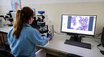 Krajská nemocnice chce výrazně posílit vědu a výzkum