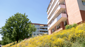 Jste hrdí na svou zahrádku? Pochlubte se s ní!