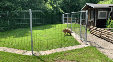 Zvířecí útulek v Jasenicích má nové výběhy pro psy