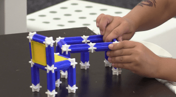 Svět kostiček se tentokrát zaměřil na faunu a flóru