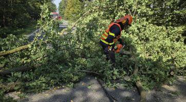 Ve Zlínském kraji řádil silný vítr. Hasiči zasahovali u desítek událostí