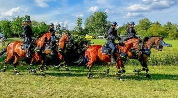 Policejní koně a další složky se předvedli na oslavách 100 let tlumačovského hřebčince