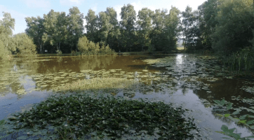 Upravuje se okolí rybníčku v bývalých kasárnách