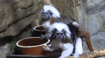 Magazín Hodonín 9. 8. 2025