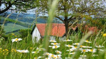 Po stopách Mornštajnové, Tučkové nebo Galušky. Literární místopis ČT zavede diváky i do našeho regionu