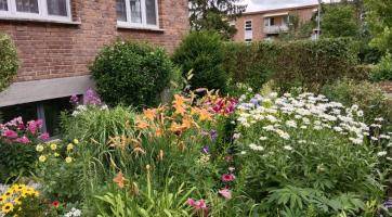 O vítězství v soutěži Rozkvetlé město letos bojovalo bezmála sto soutěžících