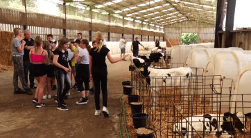 Podpora regionálních dodavatelů ve Zlínském kraji stále roste