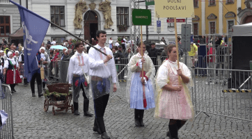 Do Hradiště na Slavnosti vína, do Kunovic na hody