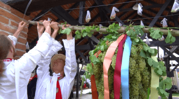 Na vinobraní v Lužicích hodnotili kvalitu úrody i hospodářský rok