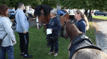 Veletrh představil nabídku sociálních služeb včetně hipoterapie 