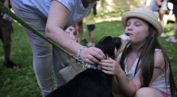 Pěstounství je také cesta, hlásal Den pro rodinu
