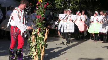 Nechory zažily vinobraní s téměř stoletou tradicí