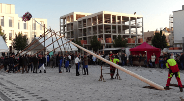 Veselská májka měří 23 metrů a pochází z Kuželova