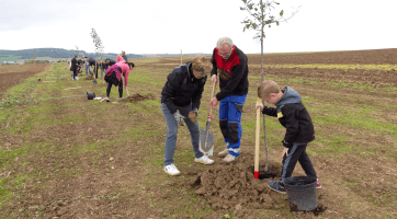 Obyvatelé Otrokovic vysadili v lokalitě Jaříč 58 nových ovocných stromů