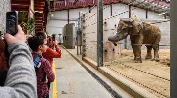 Zlínská zoo zve na speciální prohlídky chovného zařízení pro slony