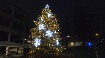 Baťův mrakodrap má poprvé vlastní vánoční strom