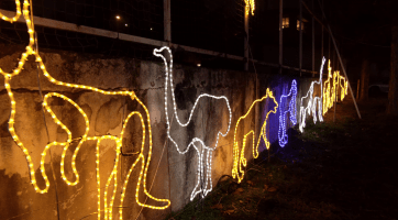 Světelný betlém a zoo budou zářit až do Tří králů