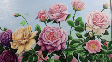 Magazín Hodonín 17. 1. 2026