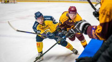 Berani padli s Jihlavou v nájezdech, Vsetín prohrál v prodloužení 