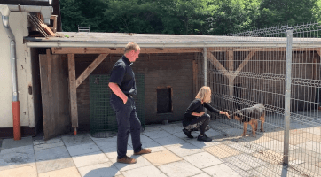 Zvířecí útulek v Jasenicích vylepšuje podmínky pro své chráněnce