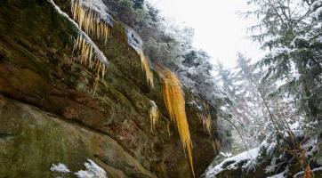 Foto: Milan Mikšík