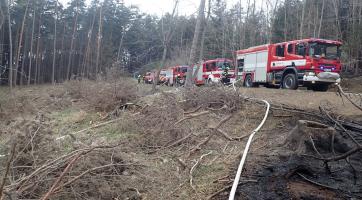Silný vítr nadělal pořádnou paseku, hasiči zasahovali v průběhu celého dne