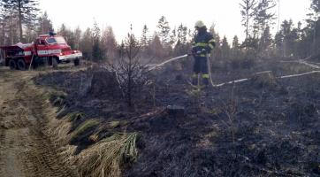 U obce Liptál na Vsetínsku hořel mladý les