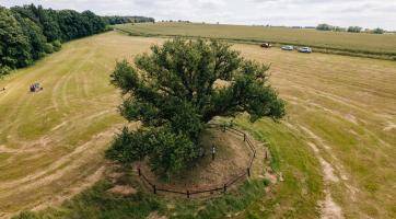 Foto: Tomáš Kalous