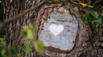 Foto: Tomáš Kalous