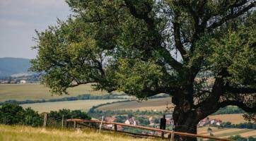 Foto: Tomáš Kalous