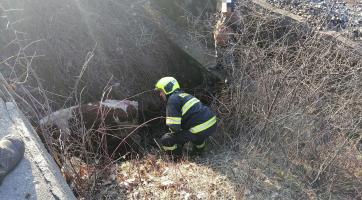 Hasiči zachraňovali uvízlé tele z koryta potoku
