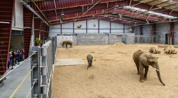  Foto: archiv Zoo Zlín
