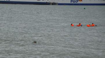 foto: Oddíl sportovního plavání Hodonín