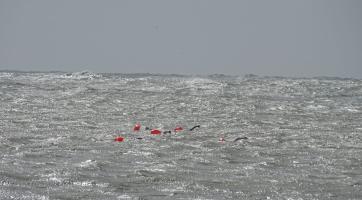 foto: Oddíl sportovního plavání Hodonín