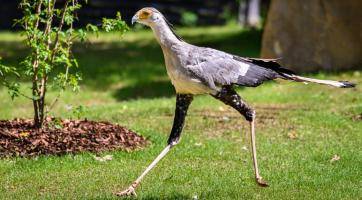 Foto: archiv Zoo Zlín