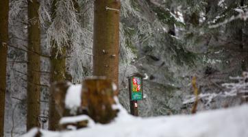 Foto: Milan Mikšík