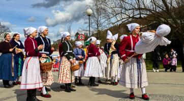 Foto: Milan Mikšík