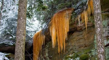 Foto: Milan Mikšík