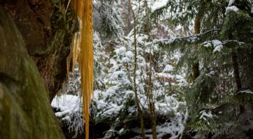 Foto: Milan Mikšík