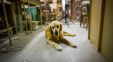 Z natáčení. Foto: Kateřina Nosková